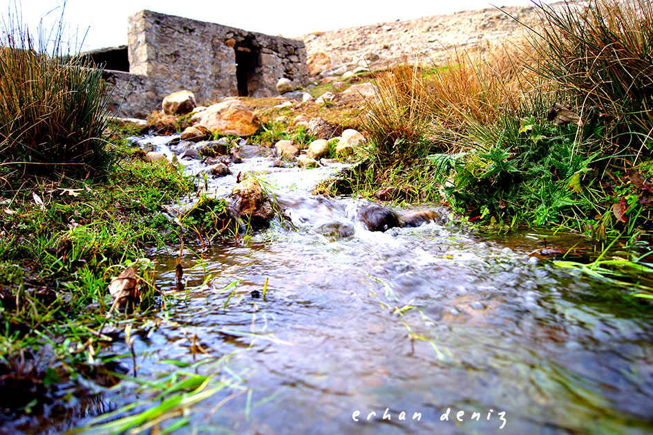 Doğa